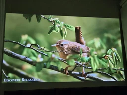 Проєктор RZTK 4K Cinema Pro 250 Android HDMI фото від покупців 1