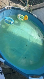 Хлор шоковий Aquadoctor C60 1 кг, гранули для дезінфекції води у басейні фото від покупців 1