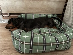 Лежак квадратний бязевий Barksi Comfort S 40x40 см Бежевий (1412114)