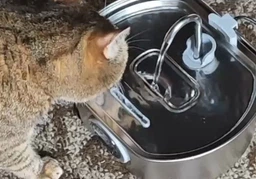 Фонтанчик автопоїлка для кота Pet Water Fountain 3,2л з нержавіючої сталі та LED-підсвічуванням PFS20