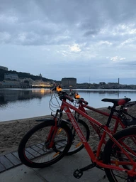 Качечка з підсвічуванням на кермо велосипеда WheelUp (10200-9)
