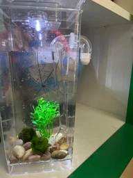 Акваріум для рибок самоочисний My Fun Fish