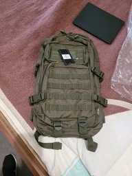 Рюкзак Mil-Tec US Assault Small 20 л Olive (033.0015)