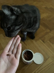 Лакомство для кошек Brit Care Cat Snack Superfruits Salmon лосось 100 г (8595602521449)