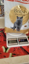 Сухий корм Royal Canin British Shorthair Adult для котів 400 г (3182550756402)