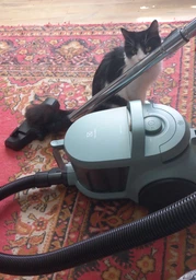 Порохотяг Electrolux - EL31C2OG