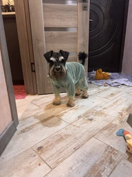 Костюм для собак сетка Dogs Bomba от клещей мятный D-255 9р