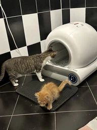 Автоматический туалет умный лоток для котов iHunt Smart Cat Litter V1, Wi-Fi, сенсор движения, мобильное приложение, ионизация, сменные мешки