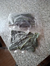 Вакууматор Vacuum Sealer вакуумний пакувальник для їжі, побутовий вакууматор чорний (VACSEA) фото від покупців 3