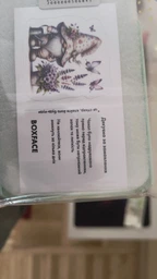 Силіконовий чохол BoxFace Motorola Edge 40 Neo Малий вухань (50684-bk119)