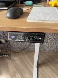 Стіл з електро-регулюванням висоти 120 X 60 см Flexi Desk Light Brown 27899 фото від покупців 2