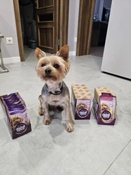 Упаковка вологого корму для дорослих собак Delickcious смужки з індичкою та сиром у крем супі 85 г x 12 шт (D6211401)