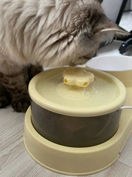 Поїлка фонтан для котів собак тварин автоматична з кормушкою 2 в 1 автопоїлка електропоїлка питна диспенсер миска для води та корму подвійна компактна портативна циркуляційна фонтанчик з циркуляцією та зоною годування пластикова Hechpro АН6010 фото від покупців 6