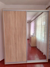 Шкаф-купе Фенікс Зеркало 170x60x240 см двухдверный Венге магия (FM007833)