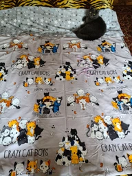 Пододеяльник Бязь Crazy Cat 200*220 см Серый