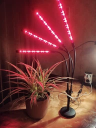 Фитолампа USB для роста растений на 4 лампы с подставкой, светодиодная LED фито лампа светильник для комнатных цветов, рассады, орхидей фото от покупателей 2