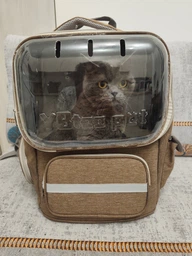 Рюкзак переноска для кота кошки котенка маленьких собак до 8 кг прозрачный зеленый (002279) фото от покупателей 4