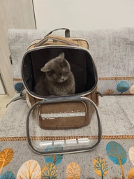 Рюкзак переноска для кота кошки котенка маленьких собак до 8 кг прозрачный зеленый (002279) фото от покупателей 3