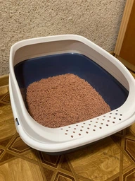 Туалет для кішок з фільтром MPS KOMODA 54х39х40 см Cвітло-зелений (8022967071512) фото від покупців 8