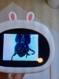 Детский цифровой микроскоп 1000x с экраном 2", записью видео 1080P, подсветкой, USB, 12 слайдами, подарок девочке на 8 Марта аккумулятор 600mAh, желтый, YouWe 2100124