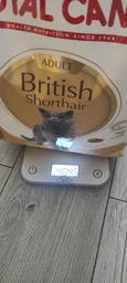 Корм для дорослих котів ROYAL CANIN Роял канін BRITISH SHORTHAIR ADULT 0.4 кг.