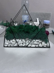 Моссариум Горы со стабилизированым мхом MiNature Moss