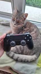 Джойстик бездротовий для телефона пк геймпад ігровий ps4 ps5 xbox блютуз для смартфона планшета ноутбука контроллер для iOS Android універсальний з USB кабель BS-350 OnePro 74043 фото від покупців 10
