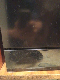 Посудомийна машина Electrolux ESF 2400 OS