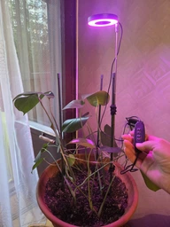 Фитолампа для растений кольцевая полного спектра LED фитосветильник для комнатных цветов Grow Light 10166, рассады, орхидей фито лампа 20-64 см