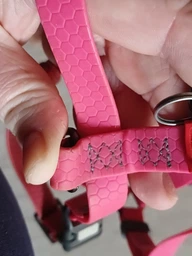Шлея для собак водостійка анатомічна Н-подібна WAUDOG Waterproof з QR паспортом, пластикова пряжка-фастекс, блакитна, розмір M (32812) фото від покупців 1