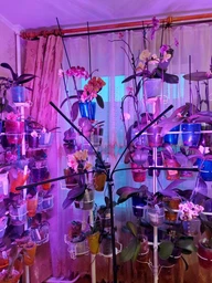 Світлодіодна фітолампа для росту рослин та розсади Gardlov Повний спектр 4 голови фото від покупців 1