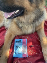 Ласощі для цуценят Half&Half у формі м'ясних кубиків з яловичиною 100 г (4823082431786)