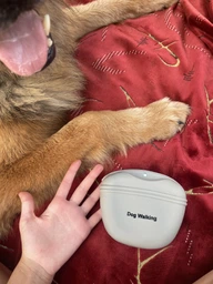 Сумочка для ласощів силіконова для собак Dog Walking TREATS BAG сіра фото від покупців 1