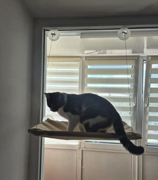Спальне місце для кішки ліжко лежанка віконна гамак Sunny Window Seat 180067