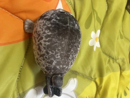 Плюшева м’яка іграшка Тюлень Seal (20 см) тренди TikTok декор для дитячої кімнати подарунок на день народження