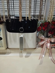 Мультипіч TEFAL Easy Fry Mega EY855D10 фото від покупців 18