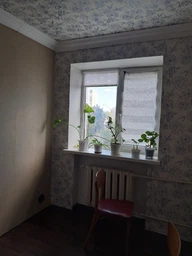 Шпалери на паперовій основі прості Шарм 128-04 Дольче Віта сіро-фіолетові (0,53х10м.)
