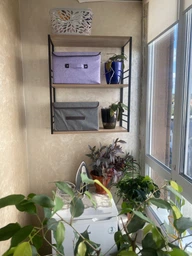 Книжная полка универсальная Ferrum-decor Стим 2 74x63x26 черный ДСП Дуб Сонома 16мм (FRD-104106) фото от покупателей 4
