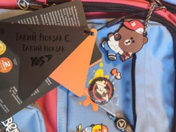 Рюкзак YES TS-43 Line Friends 43х30х16 см 21 л (559430) (5056574412805) фото від покупців 2