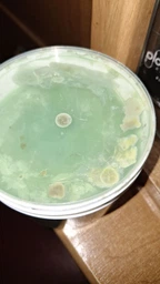 Конская мазь для суставов и тела охлаждающая Pferdebalsam Aktiv-Gel 500 мл