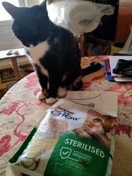 Сухой корм для взрослых стерилизованных кошек Purina Cat Chow Sterilised с курицей 15 кг (7613032233051) фото от покупателей 1