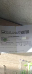 Муравьиная ферма ANTKingdom Комплект SMALL S Коричневая 19х10х6.3 см - Формикарий