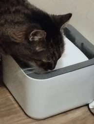 Поилка для животных Pet Water FOUNTAIN Автоматическая поилка - фонтан