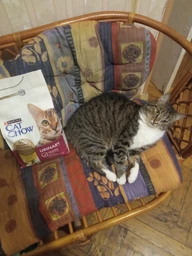 Сухий корм для дорослих котів Purina Cat Chow Urinary для підтримки здоров'я сечовивідної системи, з куркою 1.5 кг