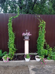 Арка садовая для цветов металлическая садовый декор пергола FlowerStand 240 x 150 x 37 см