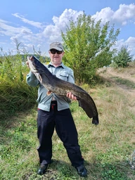 Воблер Strike Pro Jedi Rattler 80S A230S