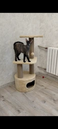 Домик когтеточка для кота дряпка для кошки Мур-Мяу Мечта 42х42х100 см в джутовой веревке Коричнево-бежевый МТК