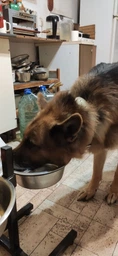 Сухой корм Josera JosiDog Economy для собак с нормальной активностью 2,7 кг (91980)
