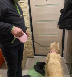 Повідець для собак 5м повідець рулетка для собак маленьких та середніх порід вагою до 15 кг Чорно-Рожевий BRS фото від покупців 2