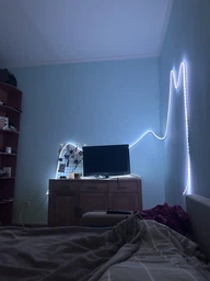 Неоновая лента 10 метров управления с телефона LED Neon Rope Light гибкая умная светодиодная подсветка USB Bluetooth IP68 (LONGITUD) фото от покупателей 16